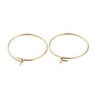 Hoop Earring – Gold – Surgical Stainless Steel – 20mm – 5 Pairs