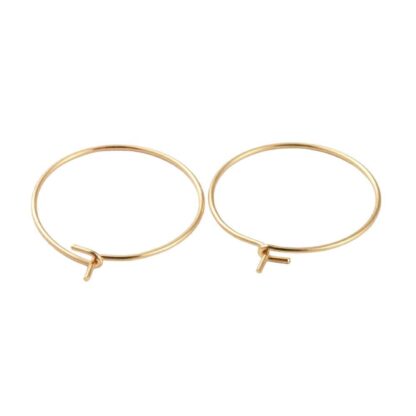 Hoop Earring – Gold – 316 Surgical Stainless Steel – 20mm – 5 Pairs