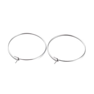 Hoop Earring – 316 Surgical Stainless Steel – 20mm – 5 Pairs