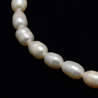Natural Cultured Freshwater Rice Pearls – 9x7mm – Strand Of 20 Beads